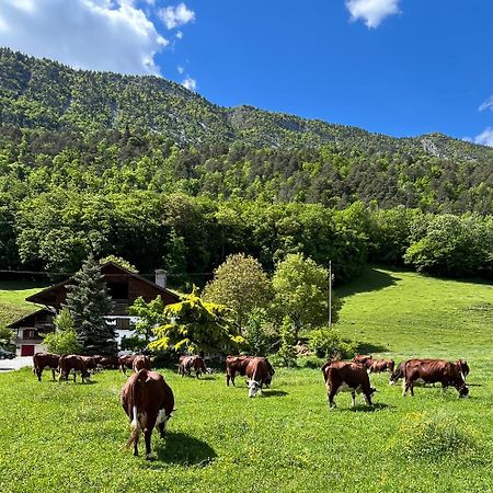 Appartement Lapreski, Spacieux, Proche Lac D'Annecy, Randonnees Montagne Thônes Kültér fotó