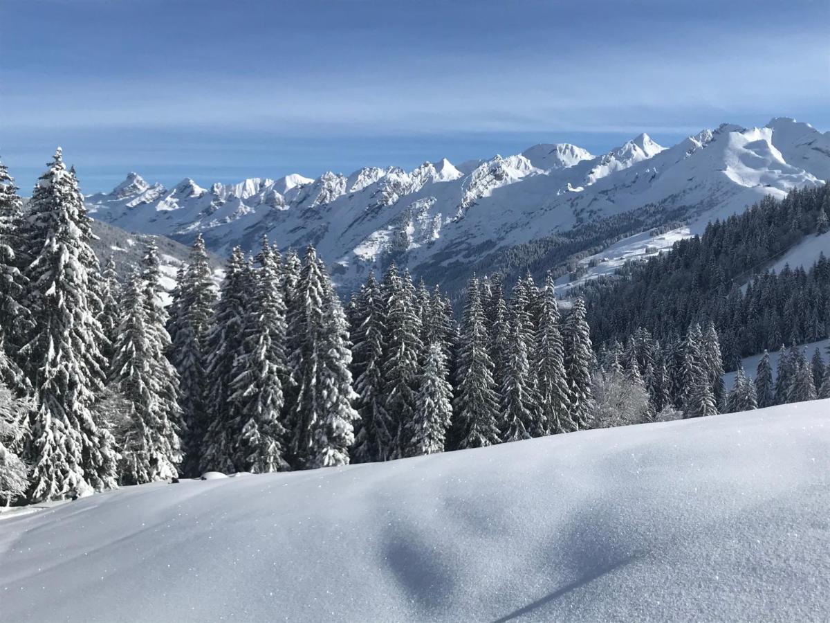 Appartement Lapreski, Spacieux, Proche Lac D'Annecy, Randonnees Montagne Thônes Kültér fotó