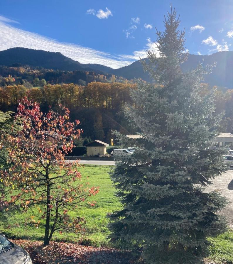 Appartement Lapreski, Spacieux, Proche Lac D'Annecy, Randonnees Montagne Thônes Kültér fotó