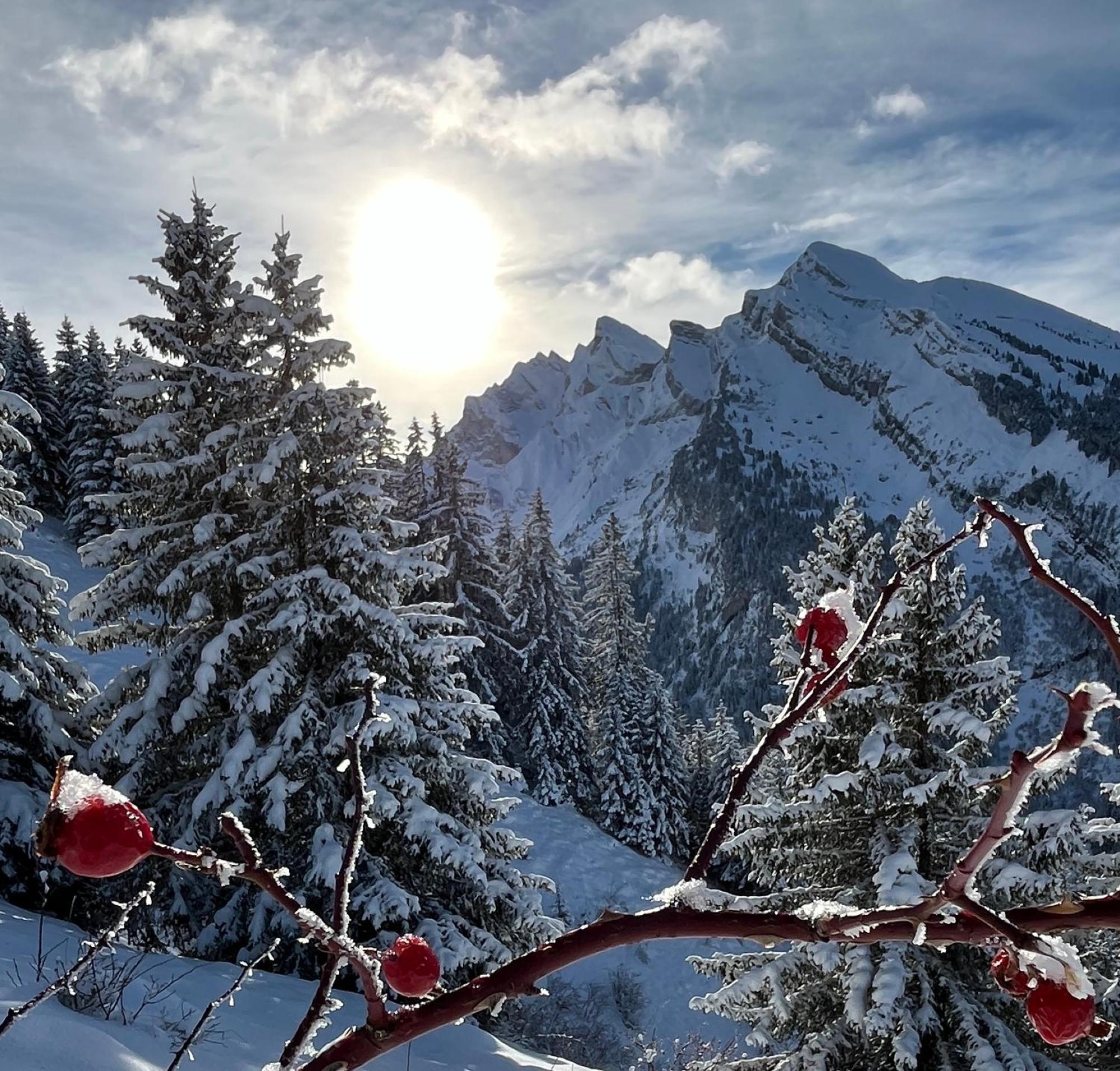 Appartement Lapreski, Spacieux, Proche Lac D'Annecy, Randonnees Montagne Thônes Kültér fotó