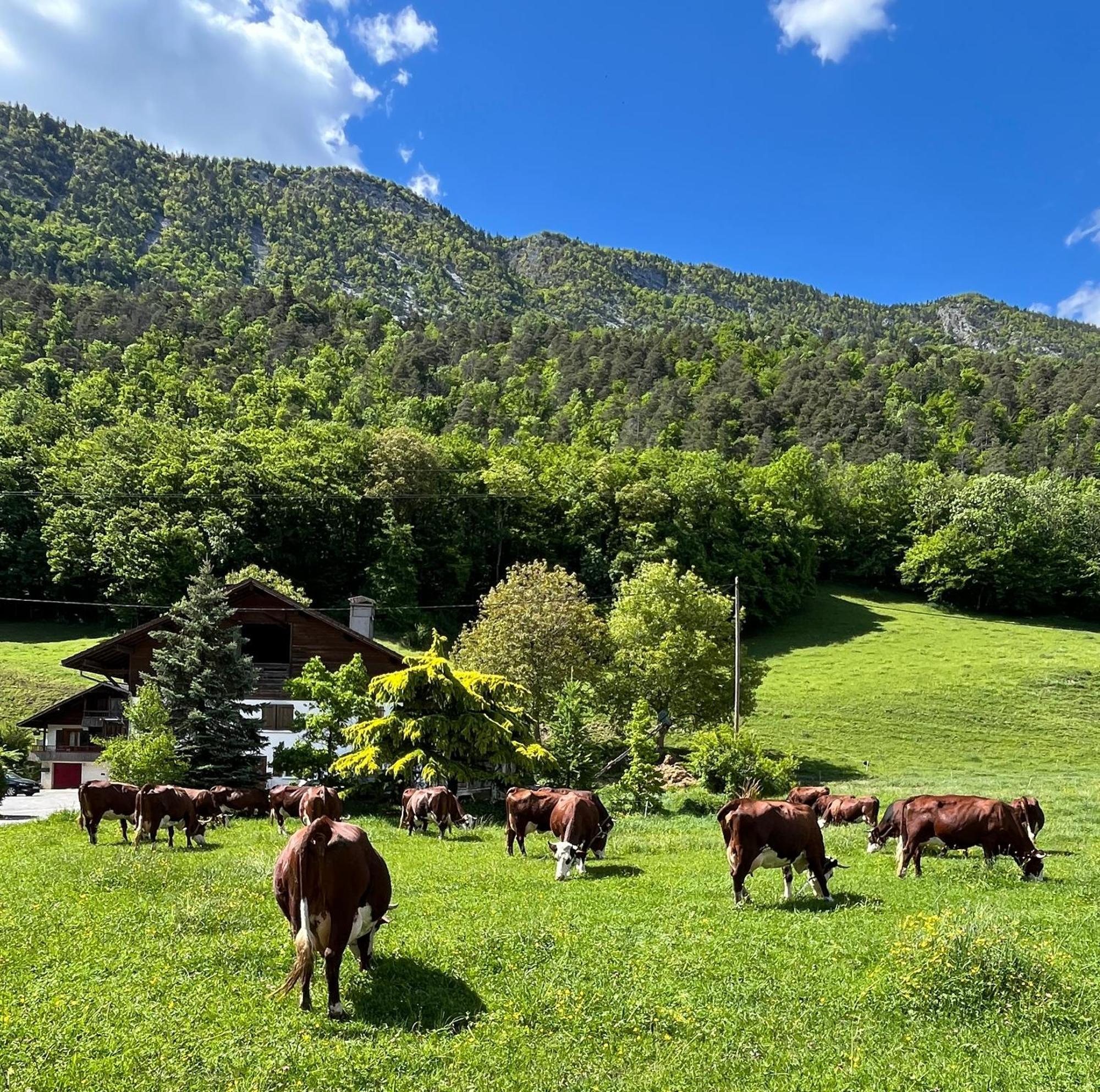 Appartement Lapreski, Spacieux, Proche Lac D'Annecy, Randonnees Montagne Thônes Kültér fotó